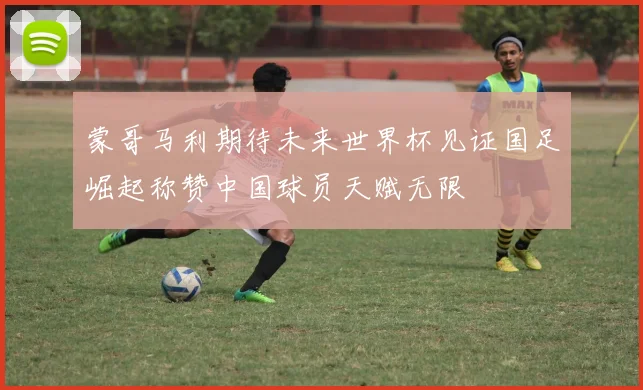 蒙哥马利期待未来世界杯见证国足崛起称赞中国球员天赋无限